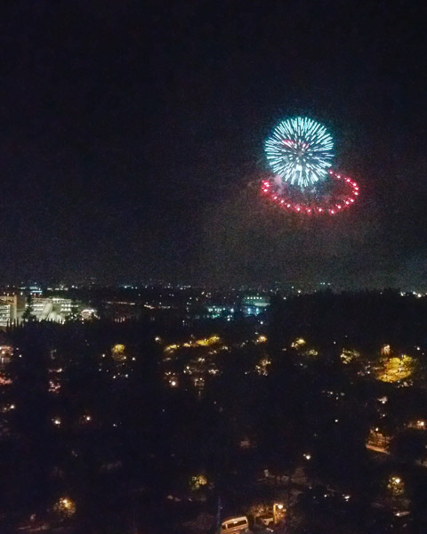 Fireworks from the Disneyland hotel